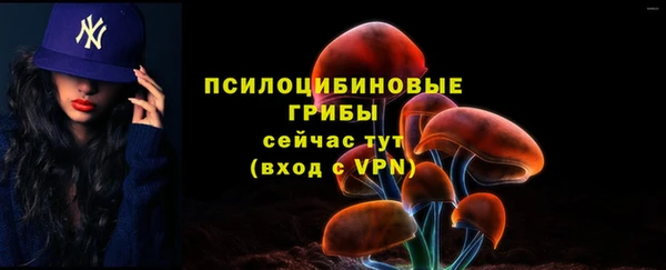 герыч Пестово