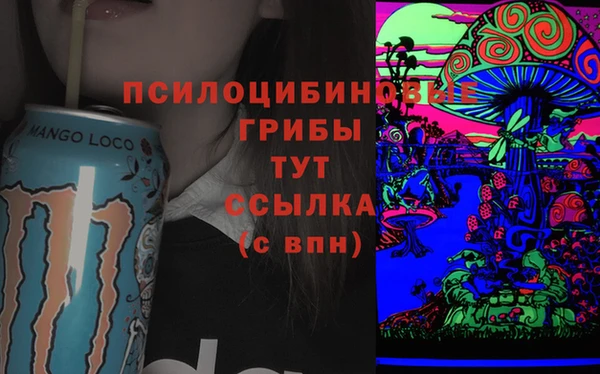 меф Переславль-Залесский