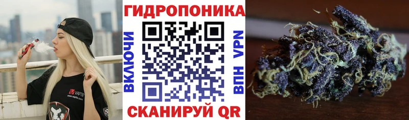 Канабис Ganja  Белая Холуница 